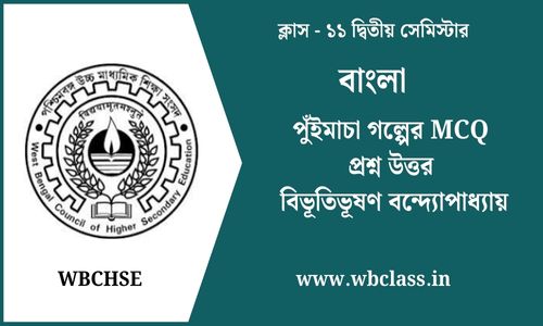 পুঁইমাচা গল্পের MCQ প্রশ্ন উত্তর