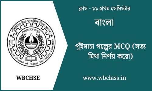 পুঁইমাচা গল্পের MCQ (সত্য মিথা নির্ণয় করো)