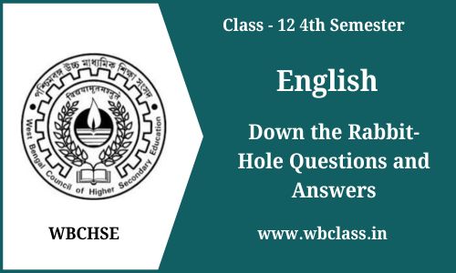 Down the Rabbit-Hole Questions and Answers