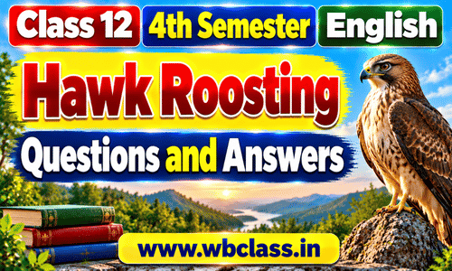 Hawk Roosting Questions and Answers