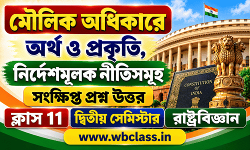 মৌলিক অধিকারের অর্থ ও প্রকৃতি, নির্দেশমূলক নীতিসমূহ সংক্ষিপ্ত প্রশ্ন উত্তর